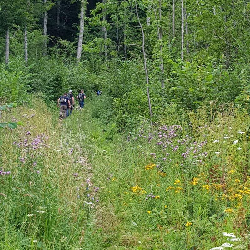 Meisterfilter AG - Sommerwanderung 2020