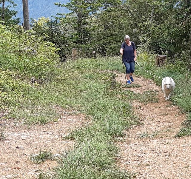Meisterfilter AG - Sommerwanderung 2020