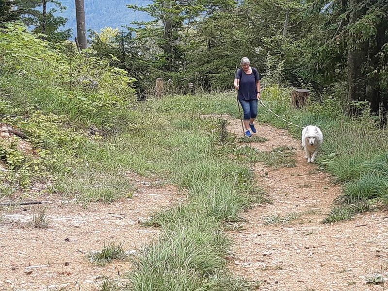 Meisterfilter AG - Sommerwanderung 2020