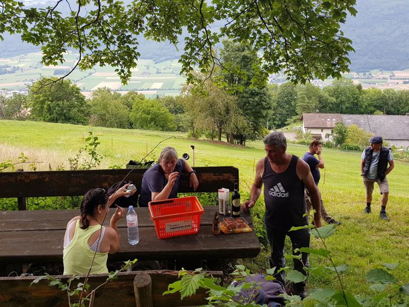 Meisterfilter AG - Sommerwanderung 2020