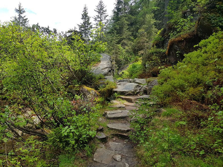 Uf und dervo…… Meisterfilter’s sind wieder unterwegs! Südtirol wir kommen.