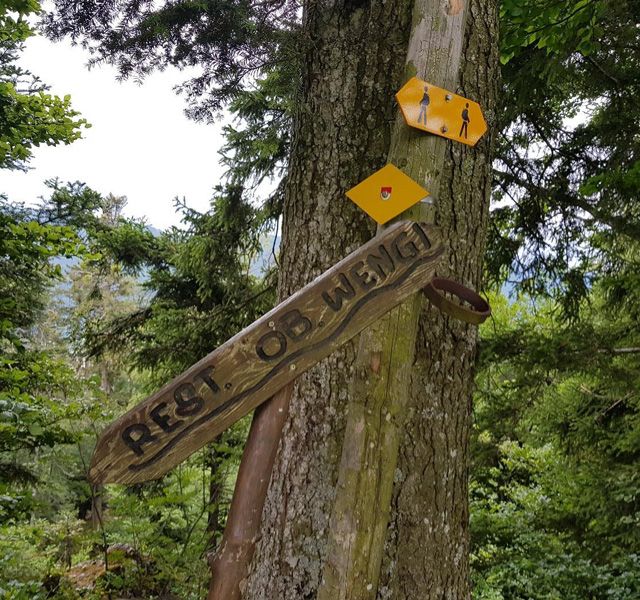 Meisterfilter AG - Sommerwanderung 2020