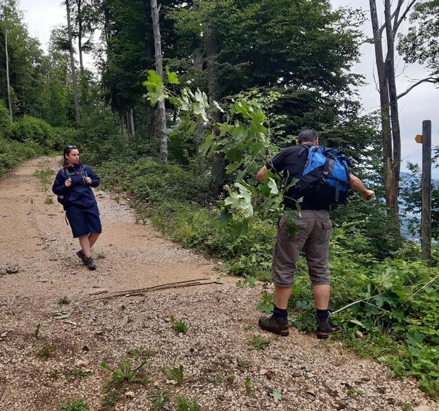 Meisterfilter AG - Sommerwanderung 2020