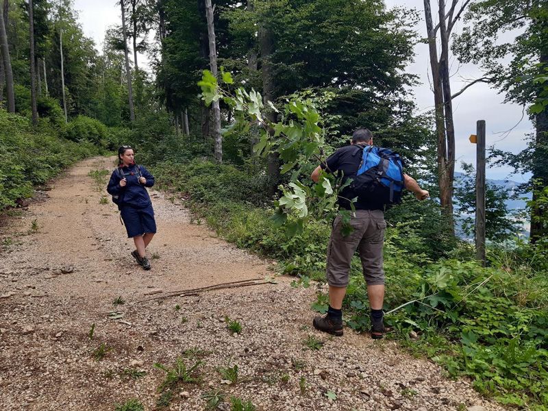 Meisterfilter AG - Sommerwanderung 2020