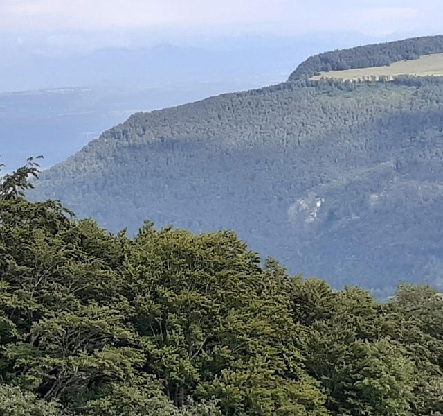 Meisterfilter AG - Sommerwanderung 2020