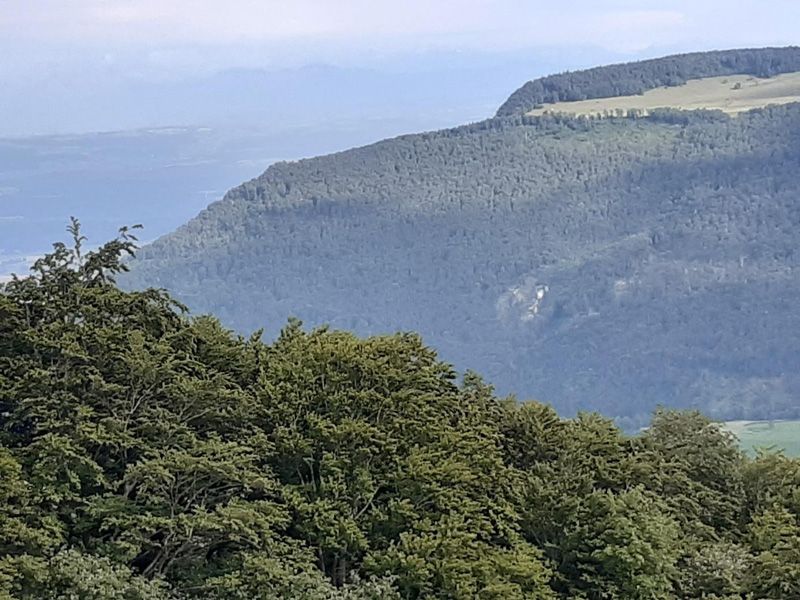 Meisterfilter AG - Sommerwanderung 2020