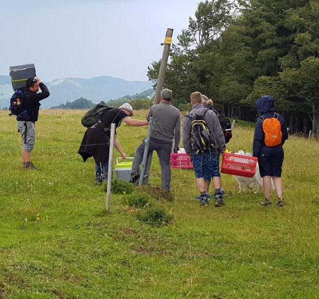 Meisterfilter AG - Sommerwanderung 2020