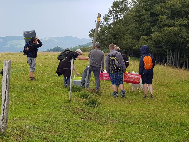 Meisterfilter AG - Sommerwanderung 2020