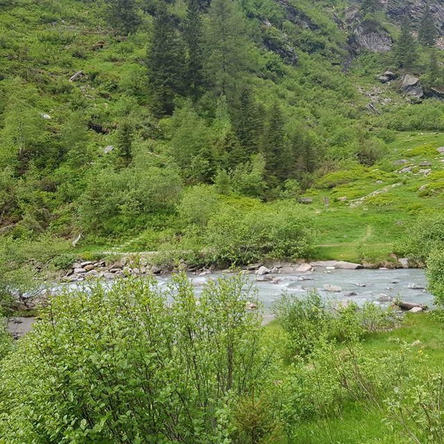 Uf und dervo…… Meisterfilter’s sind wieder unterwegs! Südtirol wir kommen.