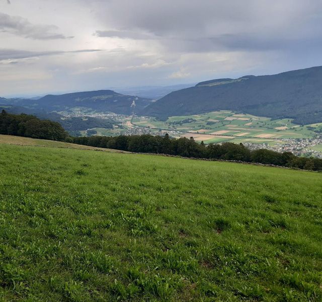 Meisterfilter AG - Sommerwanderung 2020