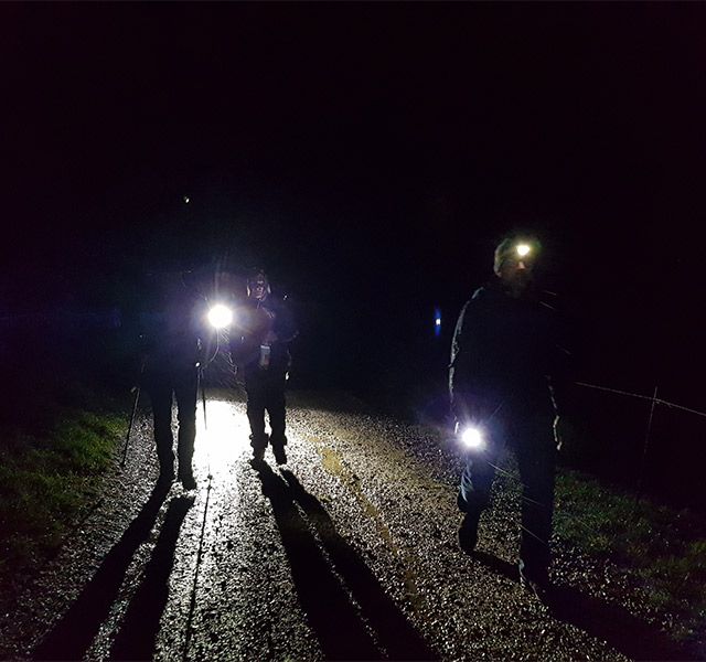 Meisterfilter AG - Herbstwanderung 2019