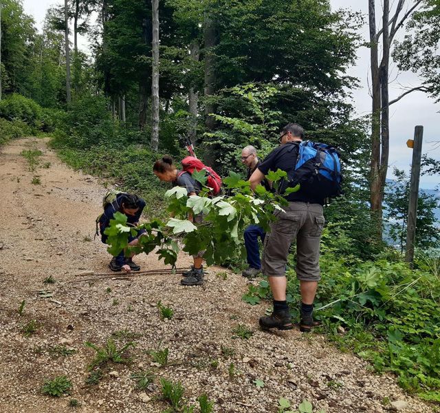 Meisterfilter AG - Sommerwanderung 2020