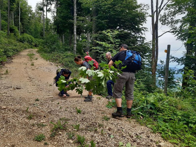 Meisterfilter AG - Sommerwanderung 2020