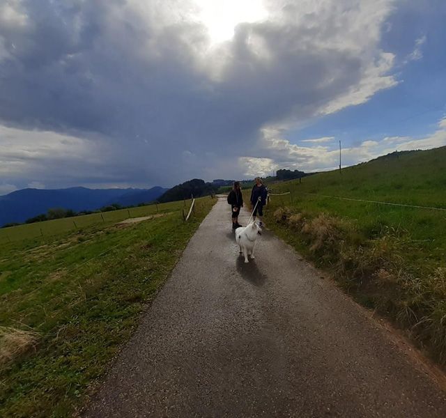 Meisterfilter AG - Sommerwanderung 2020