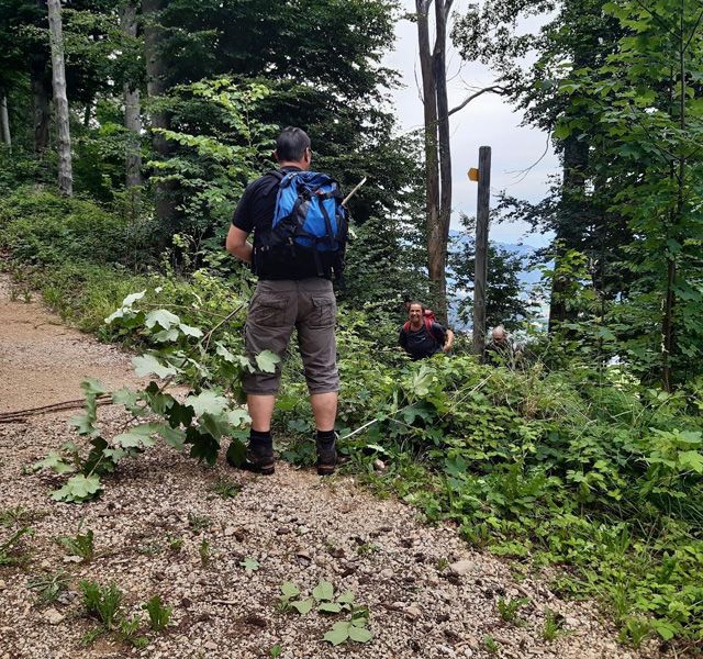 Meisterfilter AG - Sommerwanderung 2020