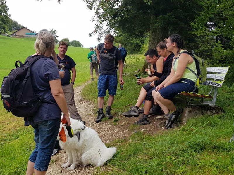 Meisterfilter AG - Sommerwanderung 2020